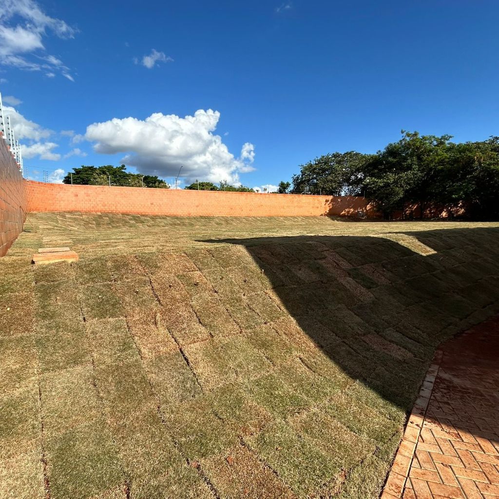 Grama esmeralda em jardim