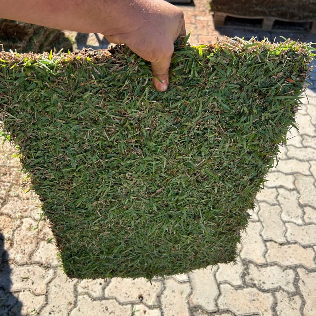 Projeto de paisagismo residencial