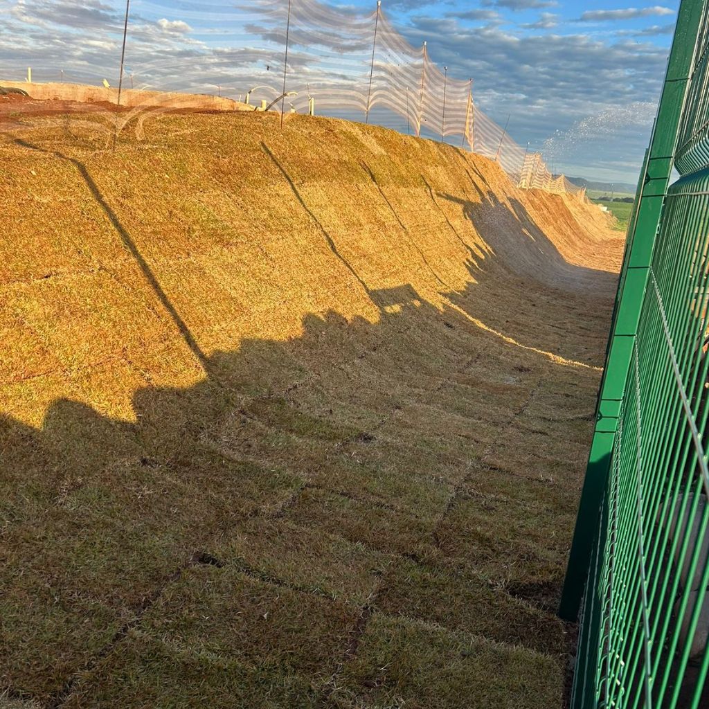 Grama esmeralda em área externa
